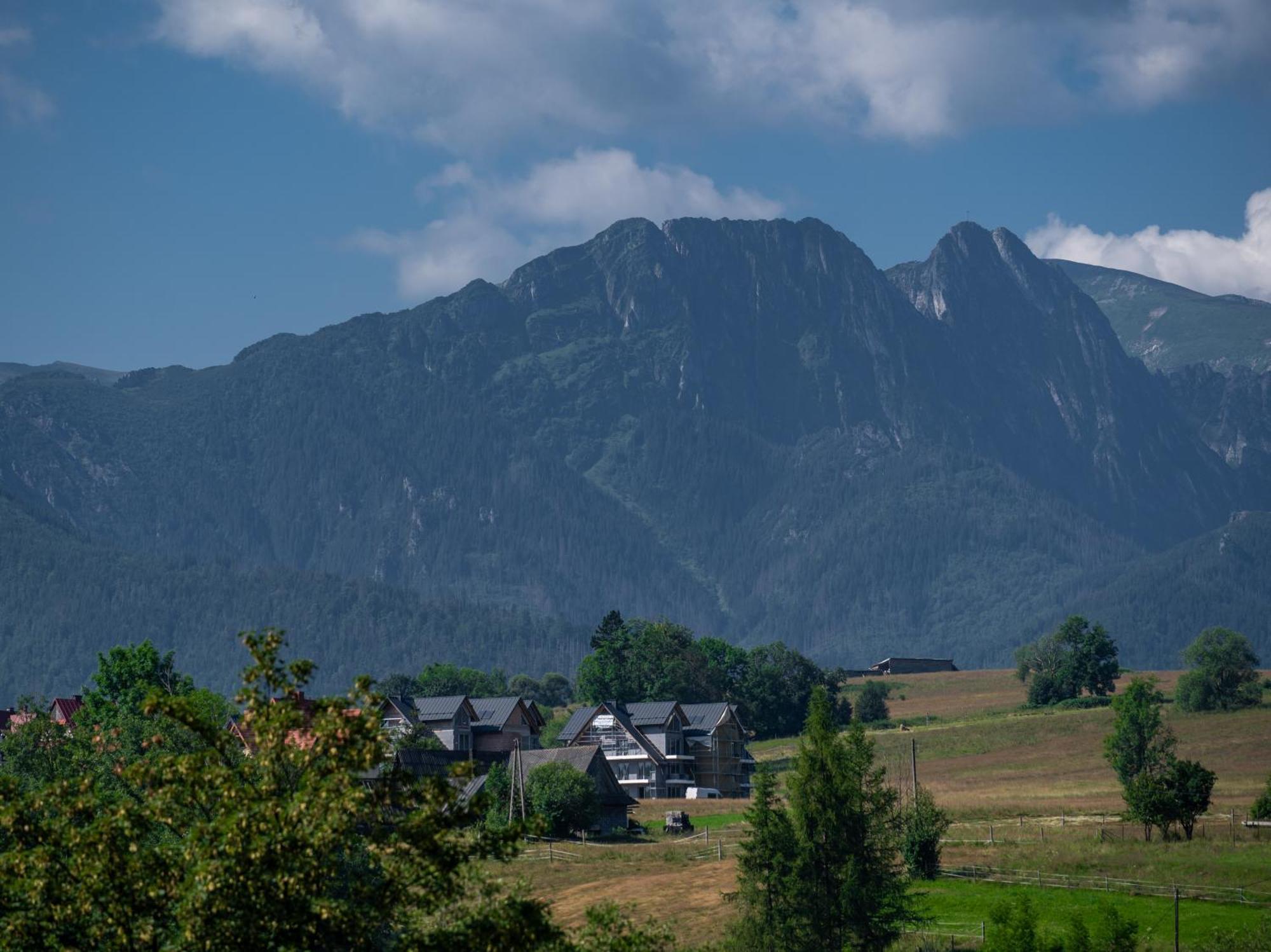 Villa Zacisze Galicove Zakopane Esterno foto